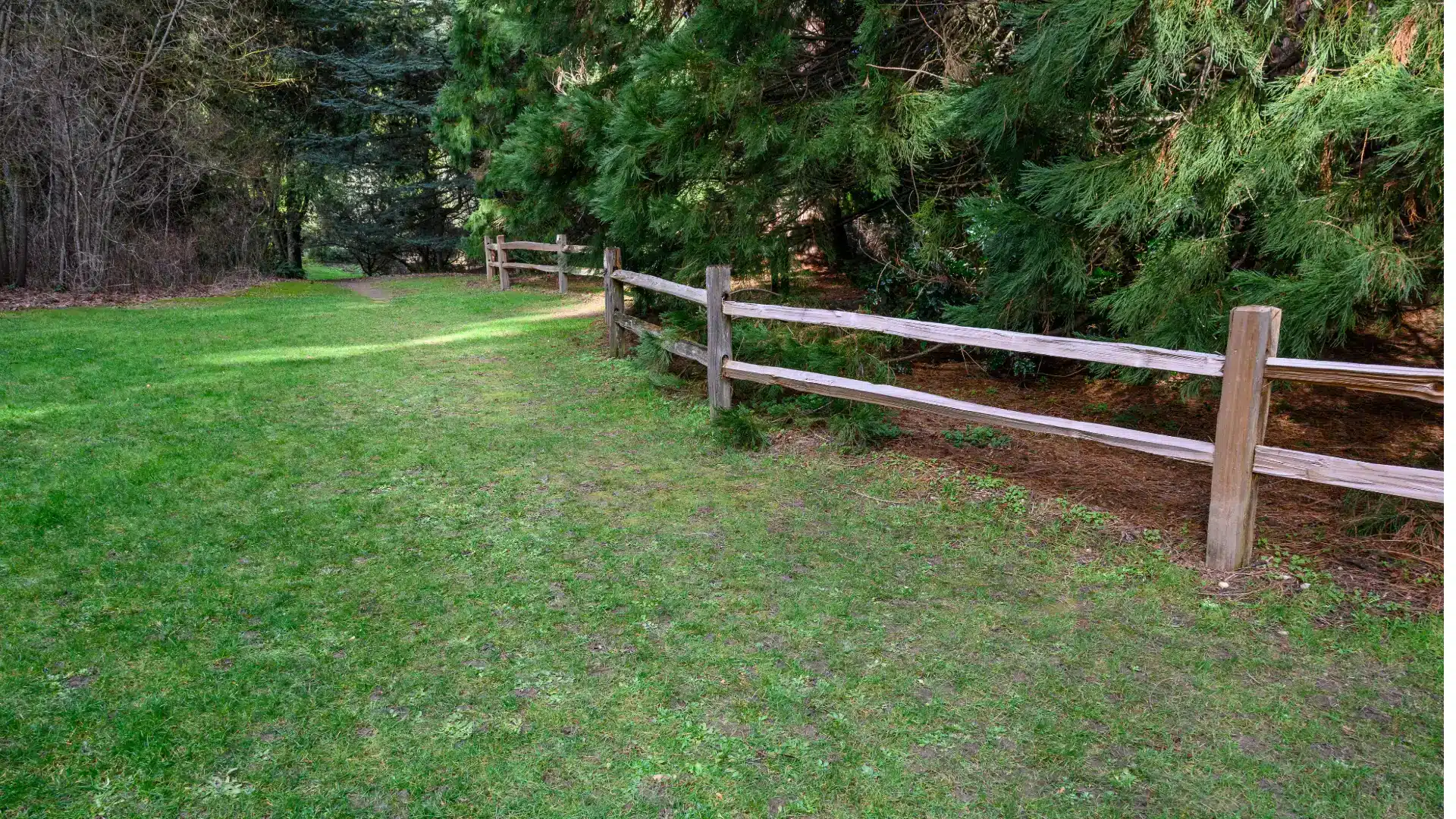 Fencing