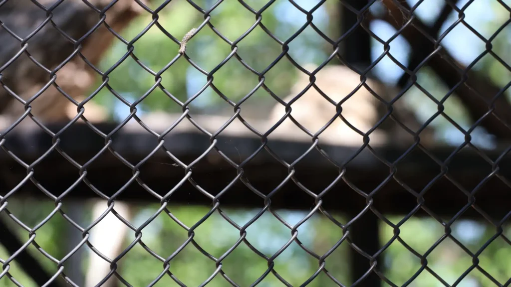 Fencing